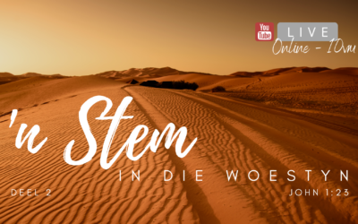 ‘n Stem in die wind 2