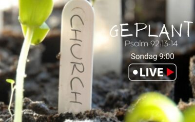 Geplant